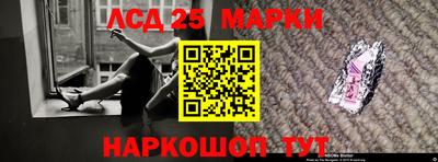 стафф Дубна