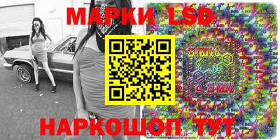 стафф Дубна