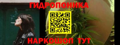 стафф Дубна