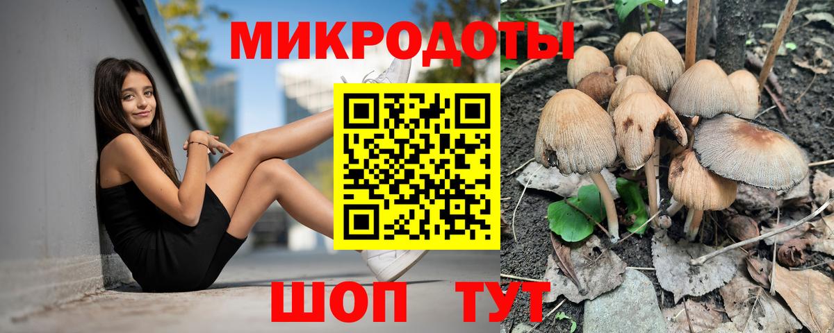 Галлюциногенные грибы Magic Shrooms Ступино